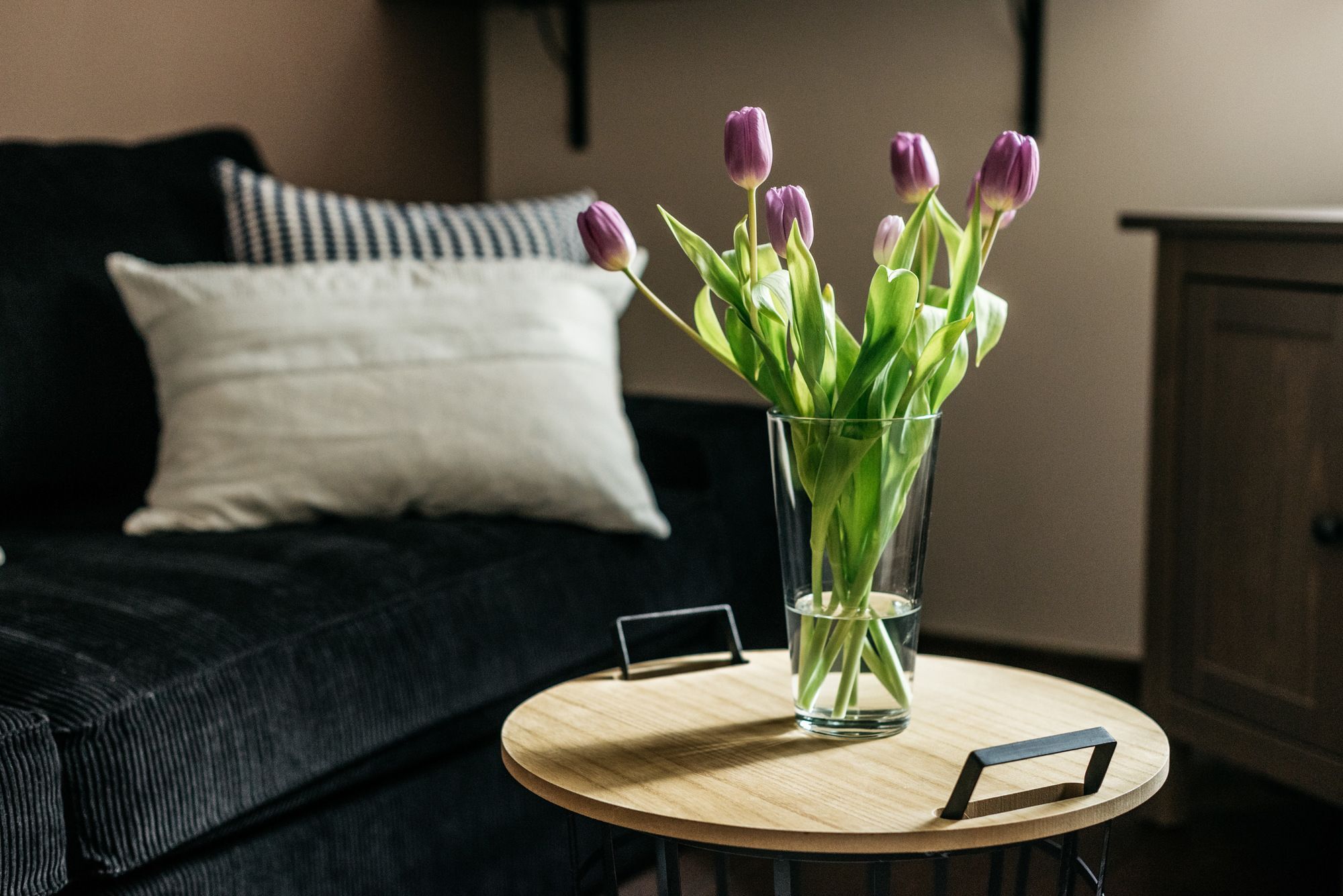 Edit Szewska 17 Apartment Old Town Krakow Ngoại thất bức ảnh